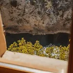 Le Tamaroque