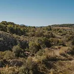 Le Tamaroque *